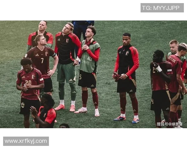 比利时队无缘欧洲杯四分之一决赛：黄金一代的遗憾与反思